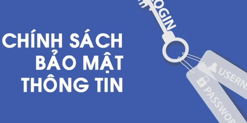 Nội dung trong chính sách bảo mật W88