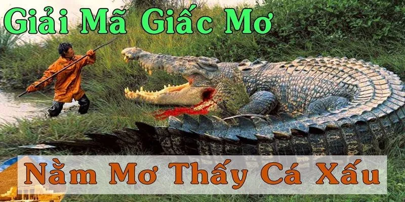 Tìm hiểu chung về giấc mơ thấy cá