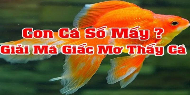 Mơ bản thân đang đi bắt cá