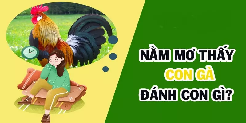 Nằm Mơ Bắt Gà Và Những Ý Nghĩa Tâm Linh Phía Sau