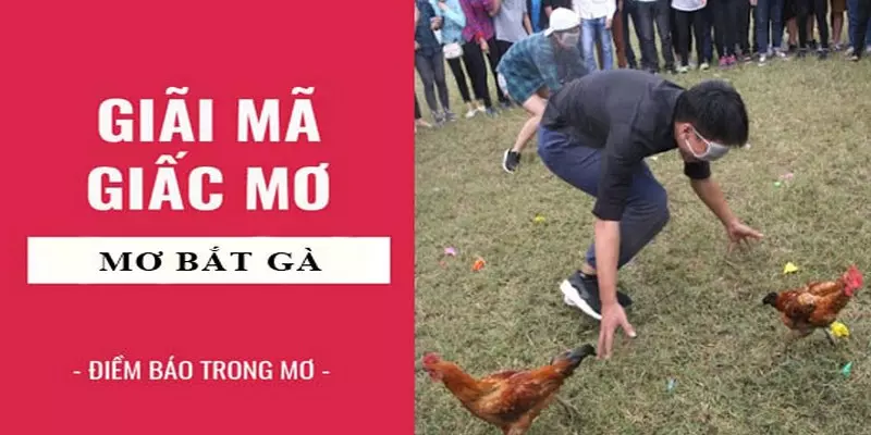 Đánh lô đề con già khi mơ bắt gà