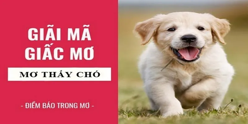 Lý giải nghĩa của từng chi tiết giấc mơ