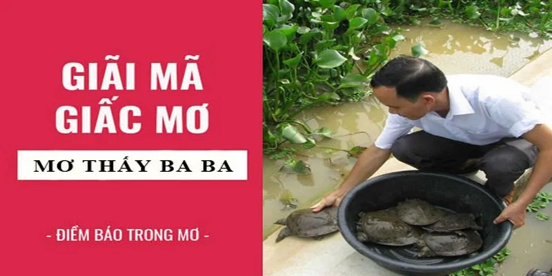 Ngủ mơ thấy baba ở dưới nước