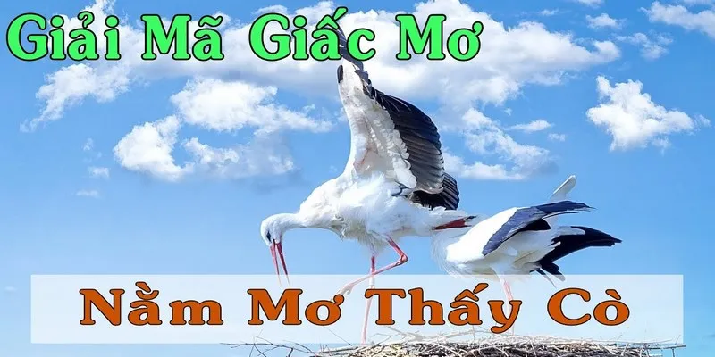 Ngủ mơ thấy cò bị sa bẫy