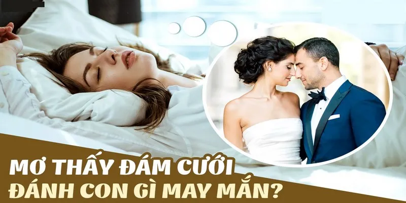 Tại sao lại gặp những giấc mơ khi ngủ? 
