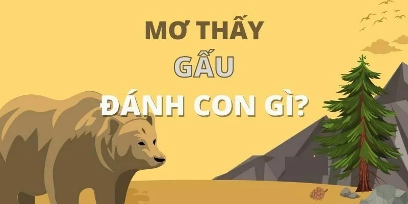 Nằm Mơ Thấy Gấu Báo Hiệu Điều Gì? Đánh Đề Số Mấy Sẽ Trúng