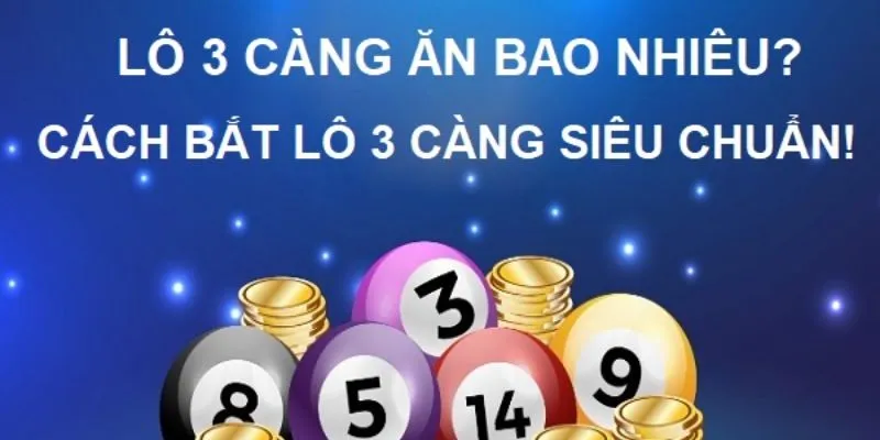 3 Càng Ăn Bao Nhiêu? Địa Chỉ Có Tỷ Lệ Trả Thưởng Cao Nhất