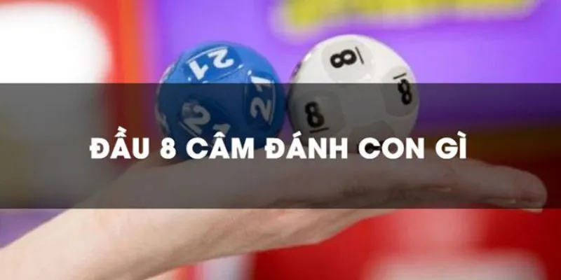 Đầu 8 Câm Là Gì Và Những Lưu Ý Người Chơi Cần Nắm Rõ