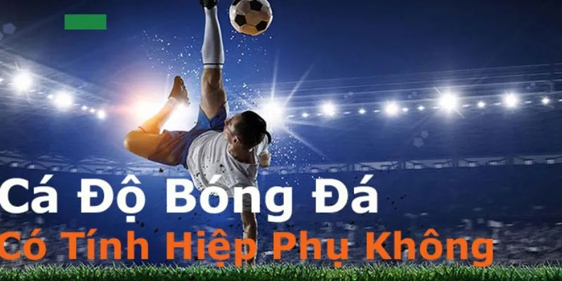 Cá Độ Có Tính Hiệp Phụ Không? Sân Chơi Nào Uy Tín, An Toàn?