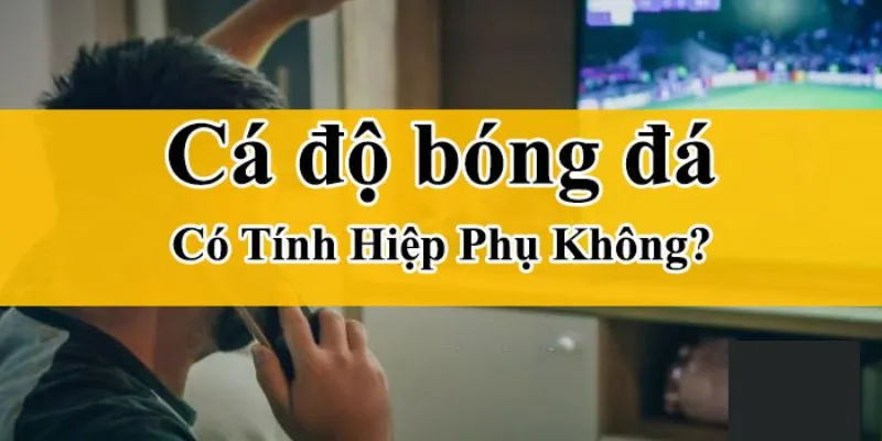 Cá độ có tính hiệp phụ không