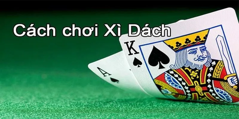 Nên tham gia chơi xì dách online