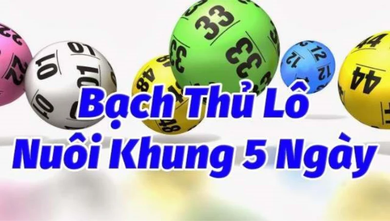 Tỷ lệ trúng thưởng cao